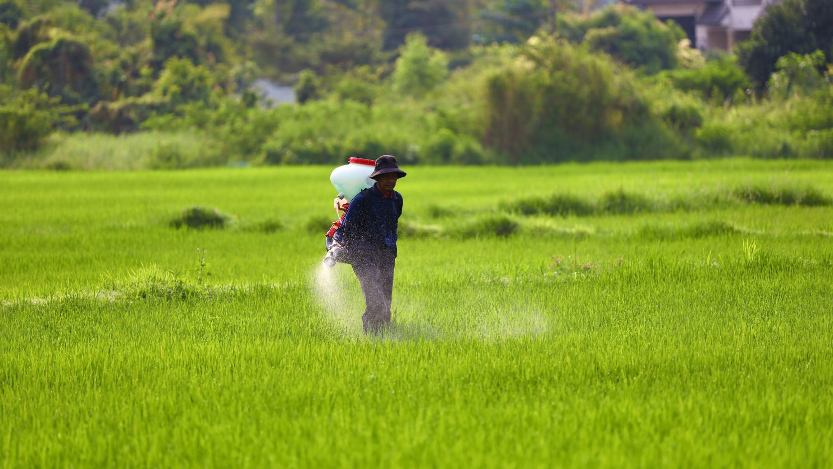 K čemu se monoethanolamin používá v agrochemikáliích?